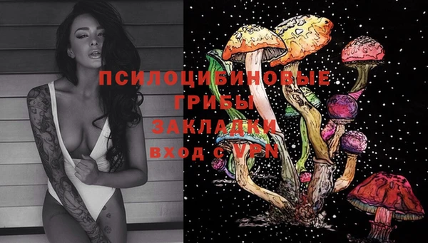 ПСИЛОЦИБИНОВЫЕ ГРИБЫ Алзамай