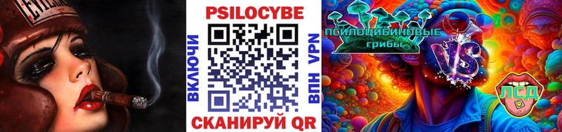 площадка формула  Костерёво  Псилоцибиновые грибы MAGIC MUSHROOMS  где можно купить наркотик 